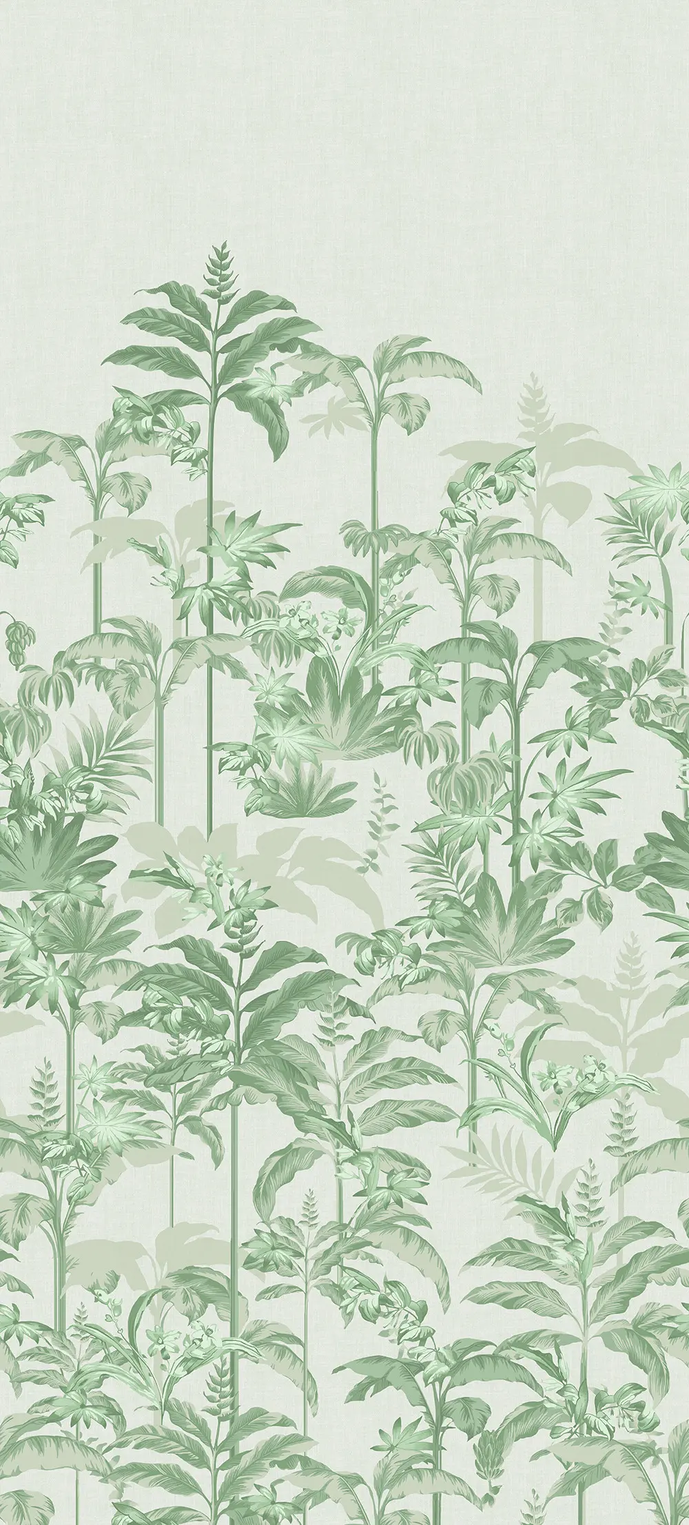 Rhapsody Celadon