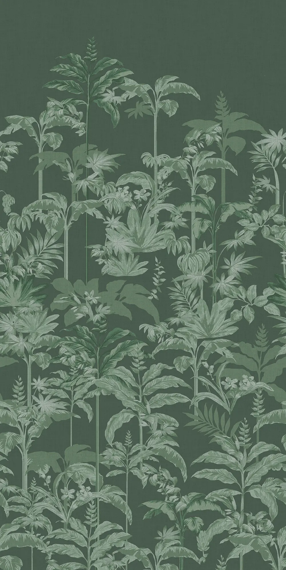 Rhapsody Green